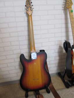 Eko guitars Tero Relic Sunburst Elektrická kytara - 3