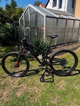 Propain Tyee CF29 - 3