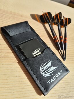 Raymond van Barneveld 26g Target darts - 3