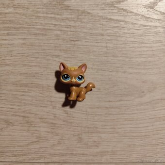 LPS Littlest Pet shop kočičky - 3