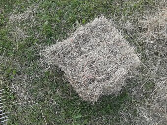 Seno malé balíky - 3