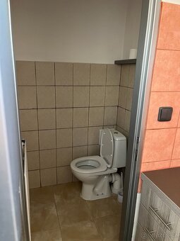 Pronájem nebytového prostoru, ul. U hřiště, Mohelnice - 3