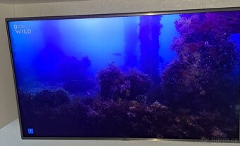 Prodám TV LG49LH615V - 3