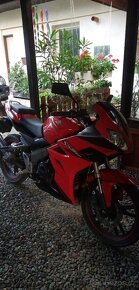 Loncin sbr 125 Spitzer - 3