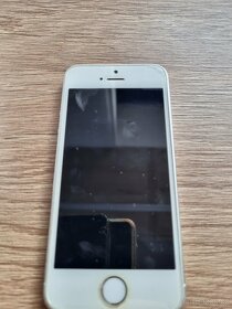 Apple 5 - 3