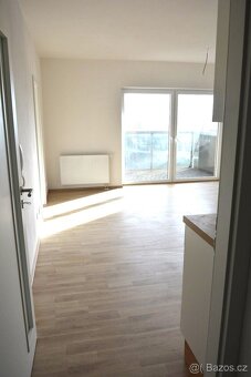 Pronájem 2+kk/B, 59 m², U velkého rybníka, Plzeň-Bolevec - 3