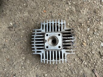 Hlava manet korádo - 3