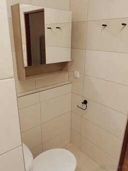 2+kk, Dr, Teplice Krajní ul, 39m2, nový interiér - 3