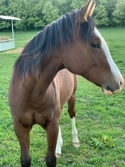 Qh - 3