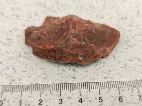 Zkamenělý dinosauří trus - Achát Fosilie Karneol 2 - 3