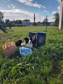 Nabidka kryti bez pp - 3