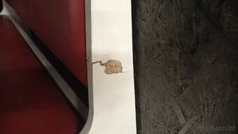 Retro rohová sedačka - 3