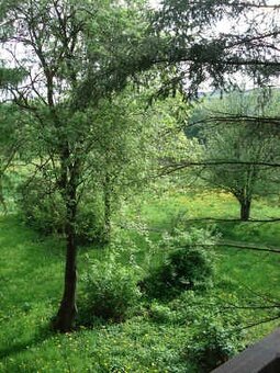 Pokoj s balkonem na praze 10 - 3