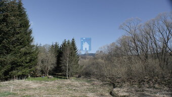 Prodej pozemku Horní Vltavice, okres Prachatice 8046 m2 - 3