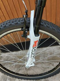 Kolo scott contesa - 3