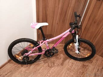 Kellys Lumi 50,20" - 3