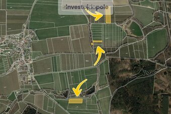 Prodej ovocného sadu v k.ú. Libějovice a Truskovice - 3