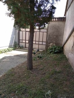🏡Na prodej RD k bydlení na Fruške Gore - Republika Srbsko - 3