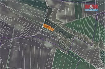 Prodej lesa, 1499 m², Koštice - 3