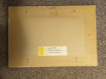 Pardubice - staré město - Čestmír Šrettr - 3