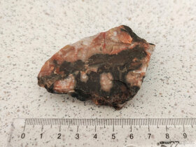 Zkamenělý dinosauří trus - Achát Fosilie Karneol 3 - 3