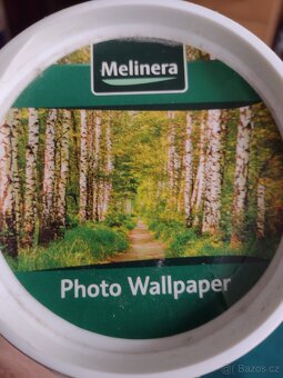 FOTOTAPETA 368x254CM - 3