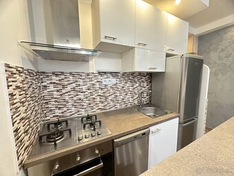 Pronájem designově zrekonstruovaného bytu 2+kk ul. Řetízková - 3