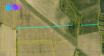 Prodej pole, 6305 m², Vacenovice u Kyjova - 3