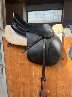Prestige Equipe appalossa - 3