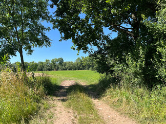 Prodej louky u řeky Metuje 3 641 m², ideální pro rybáře - 3