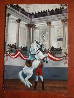 Staré pohlednice Španělské školy ve Vídni - 3