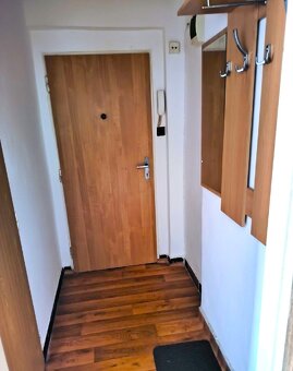 Pronájem bytu 1+kk 30 m² Český Těšín - 3