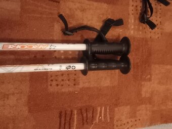 Hůlky 80cm - 3