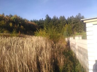 Dva pozemky, jednotlivě. - 3