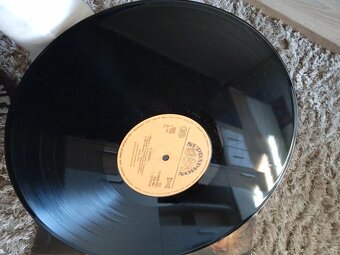 LP - Petra Janů: S láskou - 3