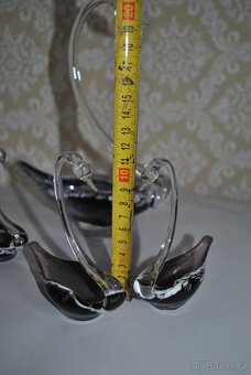 Skleněné labutě II - 3
