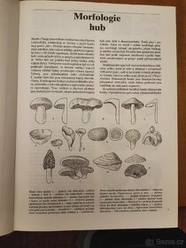 Kniha Houby Svrček, Vančura - 3