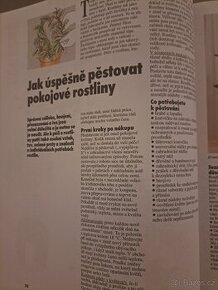 Kniha pokojové rostliny - 3