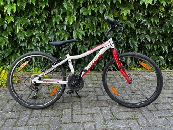 Dětské / juniorské kolo Author Ultima s průměrem kol 24" - 3