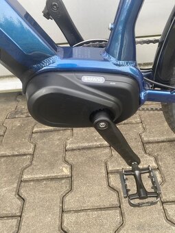 Elektrokolo LEVIT MUSCA MX vel. L - 3