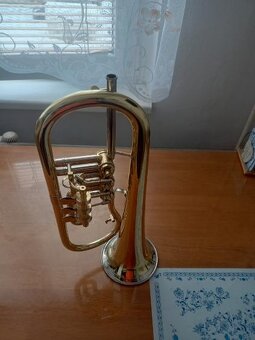 Trubka B Amati a křídlovka B Lídl - 3