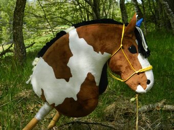 Hobby horse - 3
