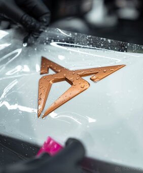 Cupra Terramar 2.0 TSI 195KW/265k, 4WD DSG - 3