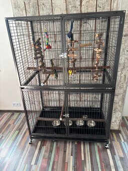 Klec snů pro papouška - 3