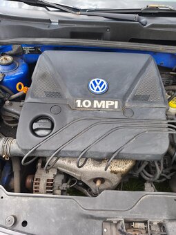 Lupo - 3