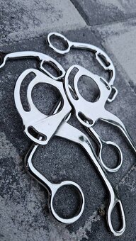 Ramena Hackamore - 3