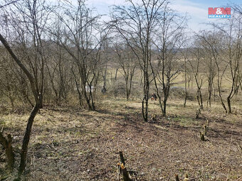 Prodej zahrady, 400 m², Postoloprty - 3