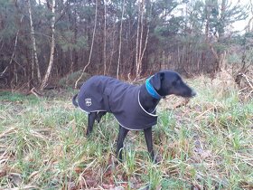 DG Doggear Bunda softshell vel. L . - 3