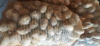 Brambory na,uskladnění - 3