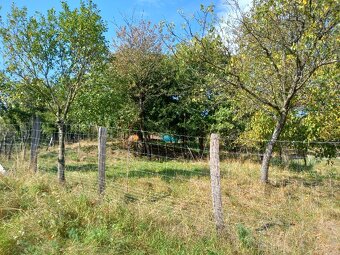 Stavební parcela vč. st. povolení, sad, louka 53 131 m2 - 3